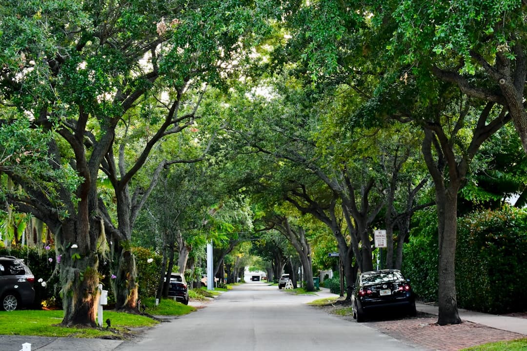 Handyman services in Bloomingdale, FL