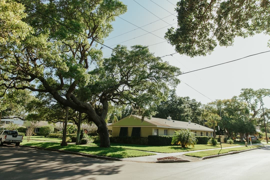 Handyman services in Lithia, FL